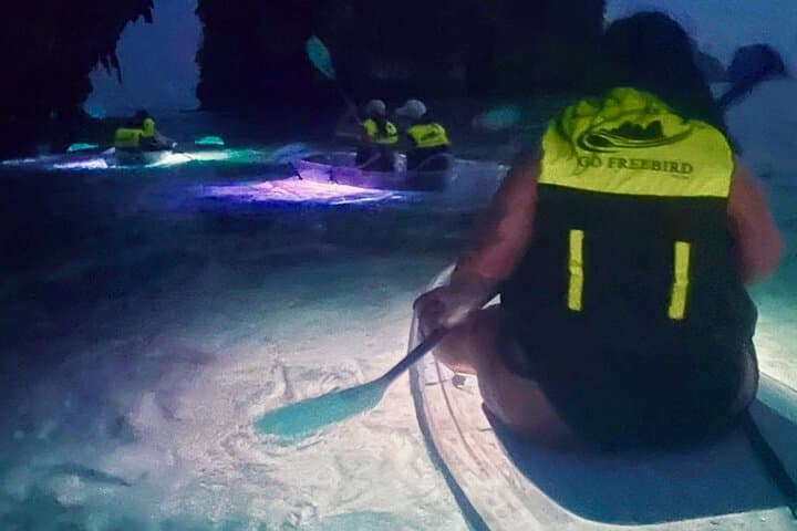Krabi Bioluminescent Night SUP Tour: Paddle with Glowing Plankton