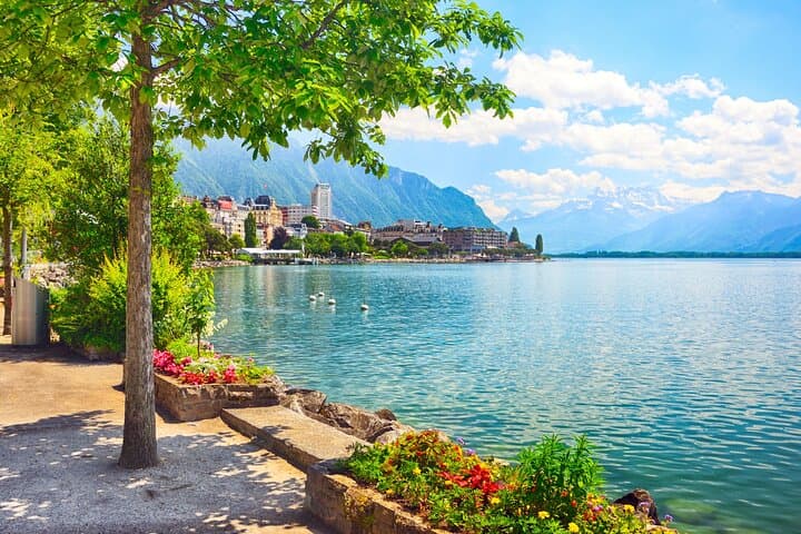 Private Swiss Riviera Excursion: Chillon, Chaplin & Lavaux in a Day photo 4
