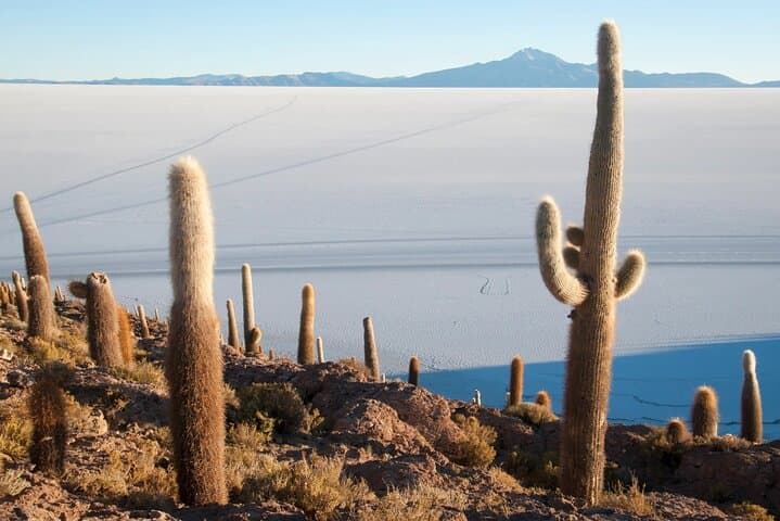 Explore Salar de Uyuni: 2-Day Salt-Flat Adventure and Salt-Hotel Experience photo 5