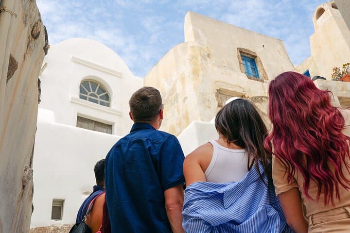 Santorini Donkey Trail: Village Exploration, Tomato Factory & Wine Tasting photo 2