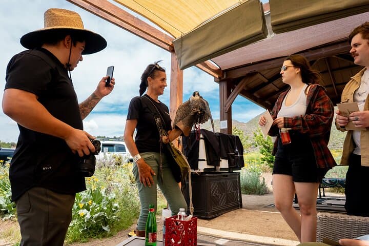 Reno Falconry Experience: Hawk Walk and Raptor Education Near Animal Ark photo 6