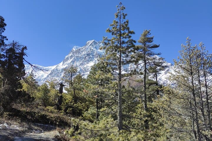 Annapurna Base Camp Trek: 10-Day Classic Trek to ABC photo 2