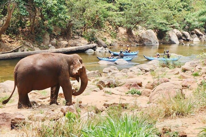 8KM Inflatable Kayaking on the Mae Taeng River — Summer Float Adventure
