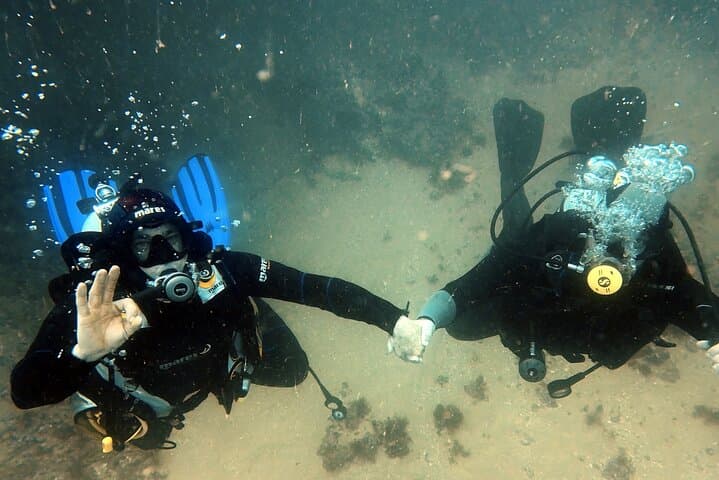 Portimão Wreck Diving — Guided Dives at Ocean Revival Park