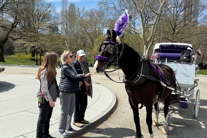 Magical NYC Christmas Lights Horse Carriage Ride Near Central Park photo 4