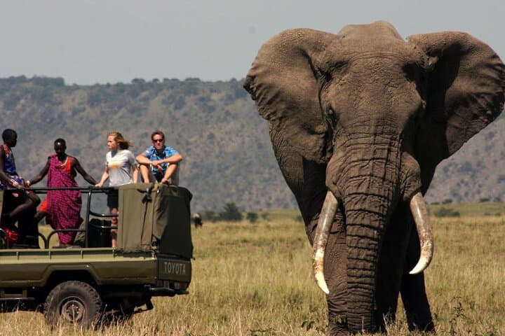 Three Days on the Garden Route: Private Tour from Cape Town to Botlierskop & Robberg photo 4