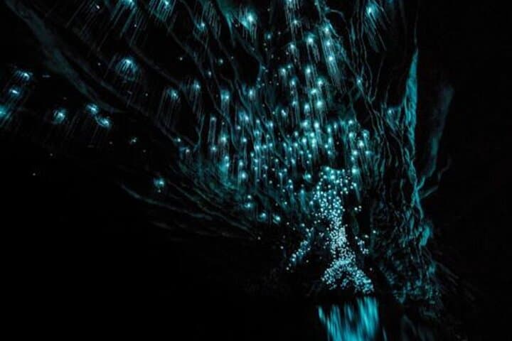 Waitomo Glowworm Caves Small-Group Tour from Auckland — Boat Ride, Maori Stories & Glow Grotto photo 6