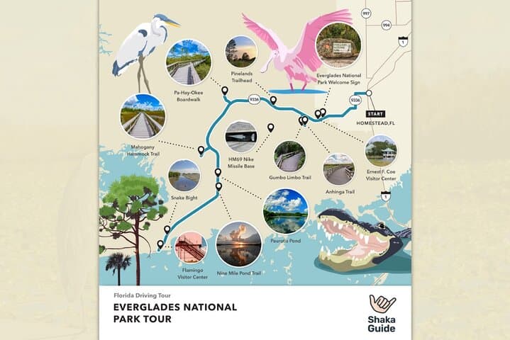 Self-Guided Florida Road Trip Bundle: Everglades, Big Cypress & Overseas Highway Audio Tour photo 6