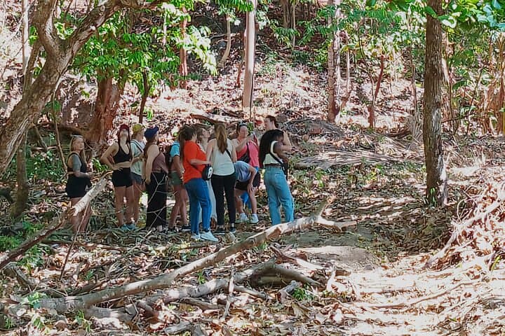 Horseback Riding at Jaco Beach: Exploring Costa Rica’s Jungle and Shoreline on Horseback photo 5