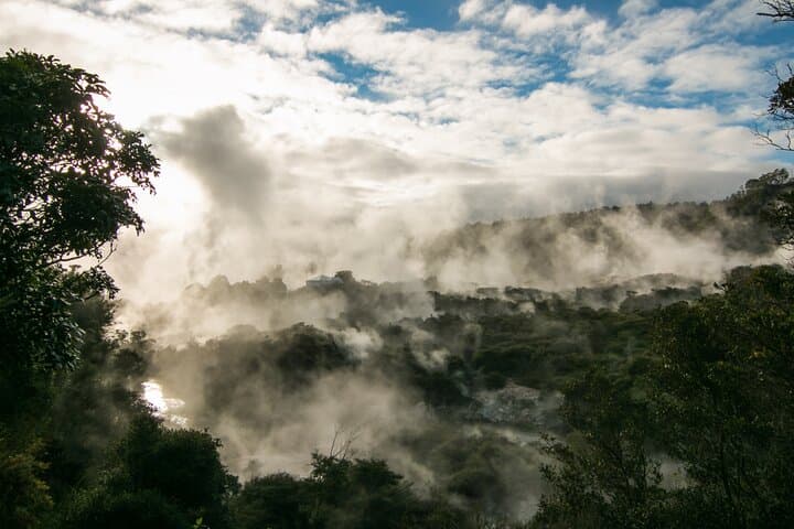 Rotorua Afternoon Te Puia Tour — Māori Culture, Pohutu Geyser & Kiwi House photo 2