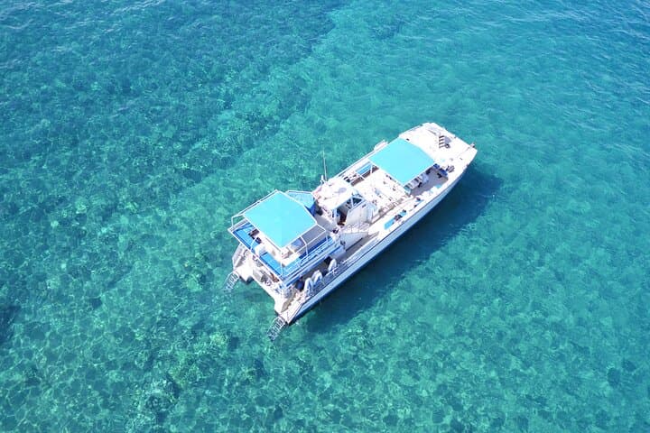 Maui Magic: Molokini Crater Snorkel and Turtle Swim from Maalaea photo 4