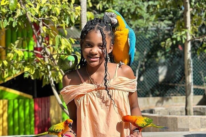 Rasta Cultural Farm Tour: Herb Garden & Animal Farm Experience in Montego Bay photo 6