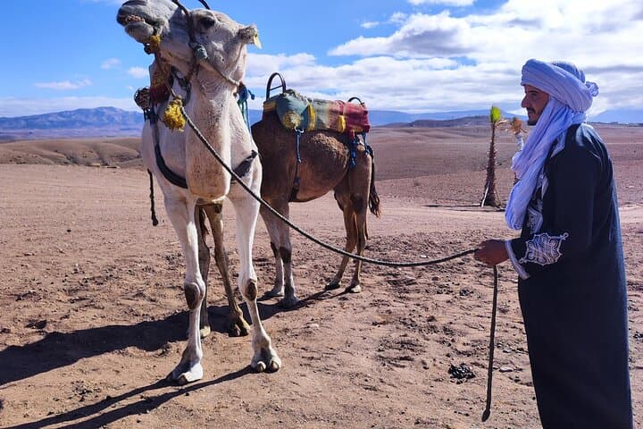 Marrakech Desert Dinner & Sunset Camel Ride — Authentic Night in the Desert