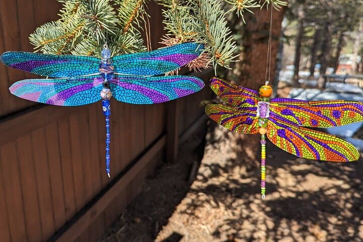 Create a Dragonfly Suncatcher in Estes Park — Easy Art Kit & Drop‑In Class photo 2
