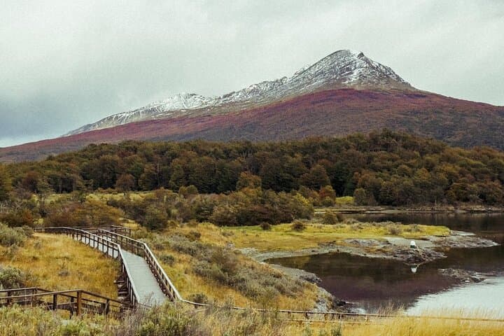 Ushuaia 2-Day Escape: Beagle Channel Cruise & Tierra del Fuego Park photo 6