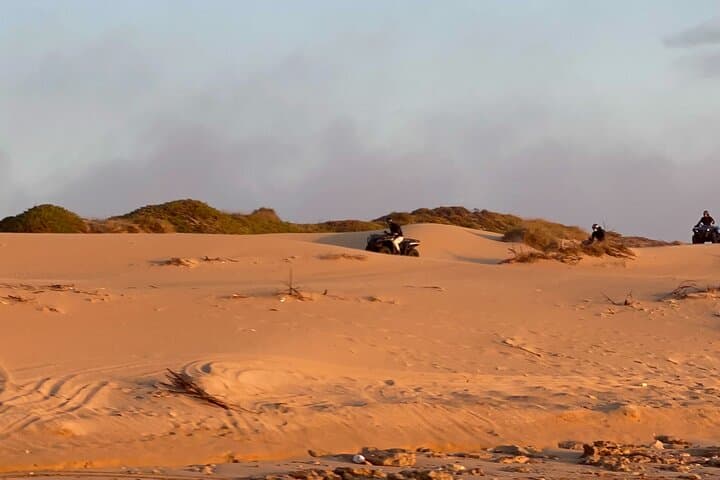 Essaouira & Diabat Quad Bike Tour — 1-Hour Beach and Dune Excursion