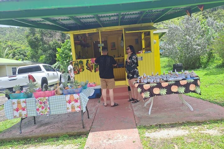 Antigua Island Tour: Nelson's Dockyard, Devil's Bridge & Betty's Hope photo 4