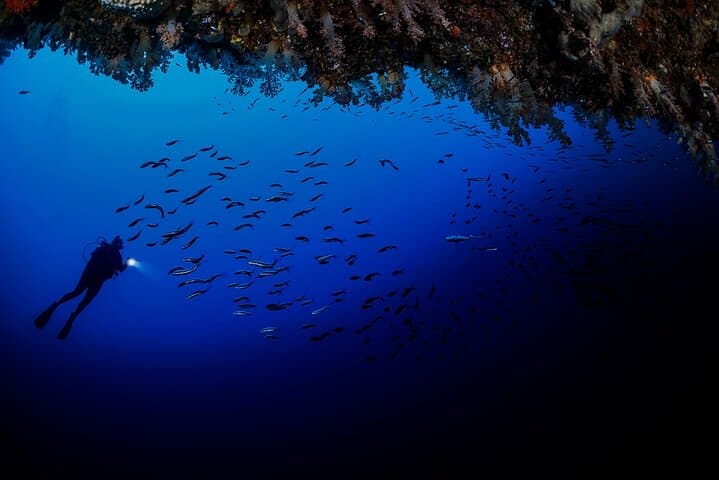 Night Dive in Cebu: After-Dark Scuba on Vibrant Coral Reefs photo 4