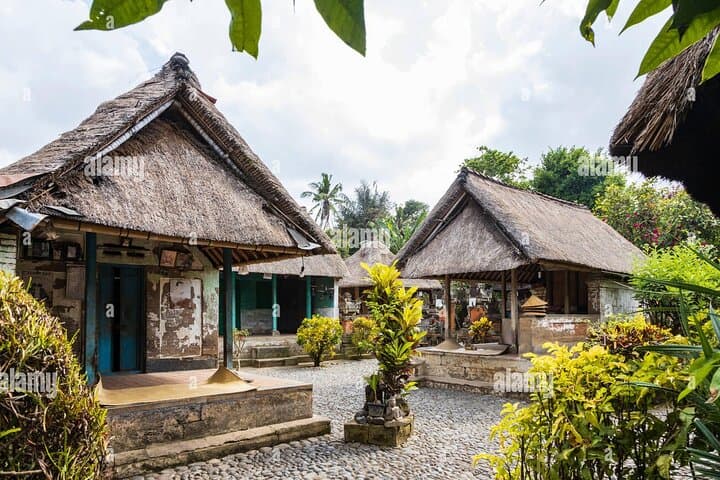 Ubud Private Day Tour: Monkey Forest, Rice Terraces & Sacred Springs photo 3