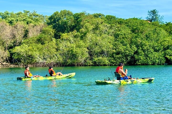 Tamarindo Mangrove Kayak: Blue Water River Tour in Las Baulas National Park