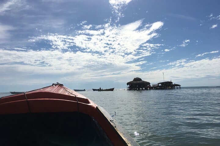 Floyd's Pelican Bar & Black River Safari — South Coast Boat Excursion from Montego Bay photo 4