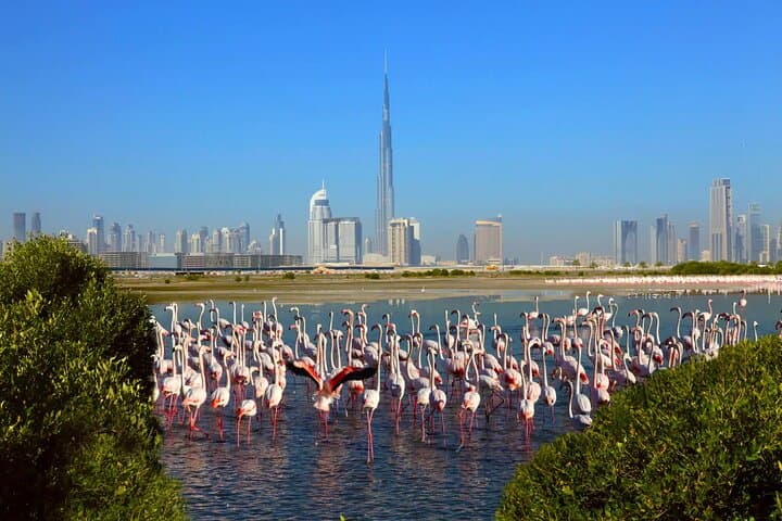 Old and Modern Dubai: Full-Day City Tour & Blue Mosque Visit photo 3