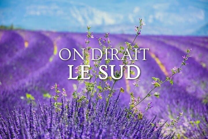 Lavender Fields and Verdon Gorges Private Day Tour from Nice photo 3
