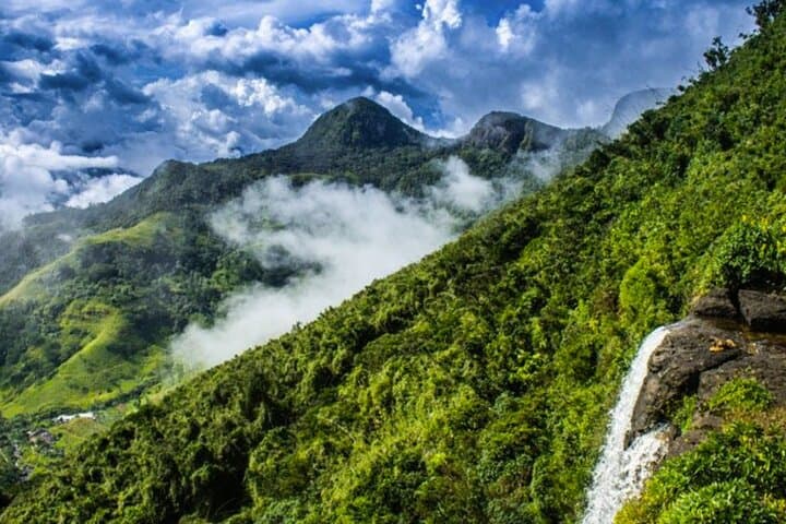 Knuckles Mountains Guided Trek: Day Trek from Kandy Through Tea, Forest & Waterfalls photo 4