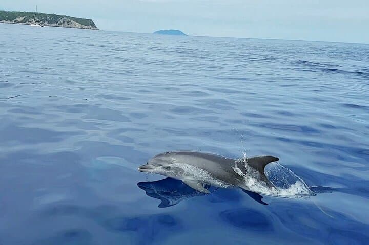 Private Full-Day Boat Tour from Trogir: Customize Your Blue Cave, Hvar & Golden Horn Experience photo 2