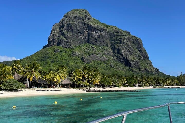 Private Dolphin & Turtle Encounter in Le Morne Lagoon — Half-Day Snorkel Trip photo 6