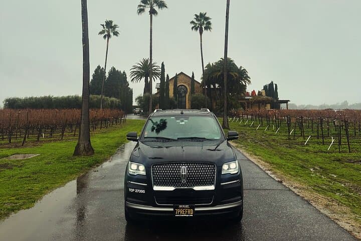 Private 6-Hour Wine Tour in Napa or Sonoma Valley — Tasting Itinerary & Practical Tips photo 3