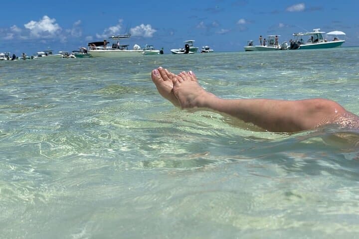 Key Largo Sandbar Excursion: Relax on White-Sand Flats & Glide Crystal Waters photo 5