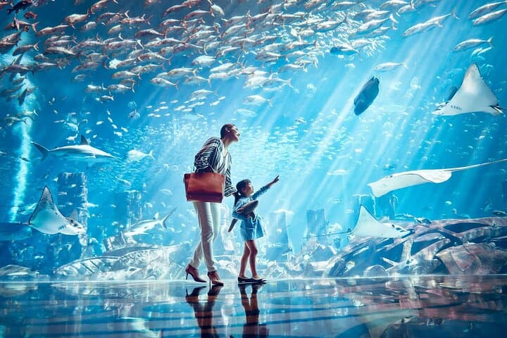 Lost Chambers Aquarium Dubai: Explore the Lost World at Atlantis The Palm photo 2