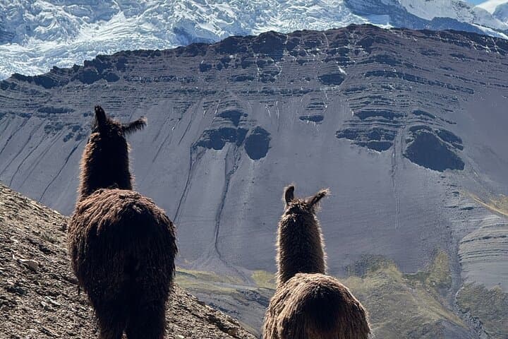 Vinicunca (Rainbow Mountain) Private Day Trek from Cusco: What to Expect photo 6