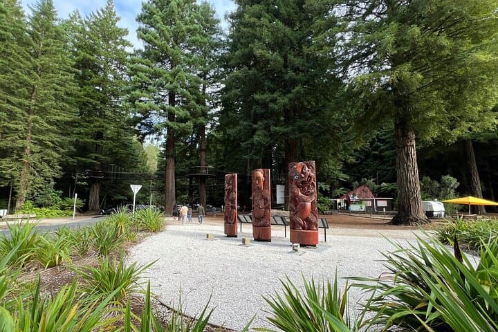 Private 2-Day Driver From Auckland to Rotorua & Waitomo (Hobbiton Option) photo 6