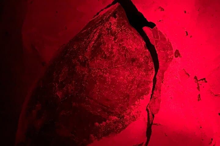 Boa Vista Turtle Nesting Tour: Guided Loggerhead Night Experience photo 4
