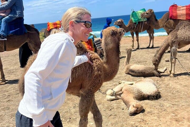 Tangier in a Day: Private Tour from Málaga or Tarifa Across the Strait photo 4