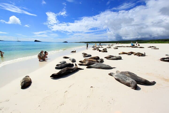 Galápagos to Amazon: 6–8 Day Wildlife & Snorkel Adventure from Baltra