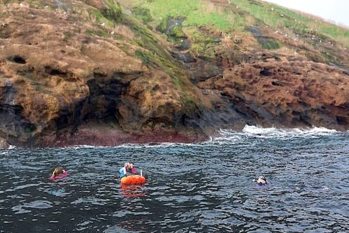 Ilhéu das Cabras Boat Trip & Snorkel — Terceira Island Marine Adventure photo 6