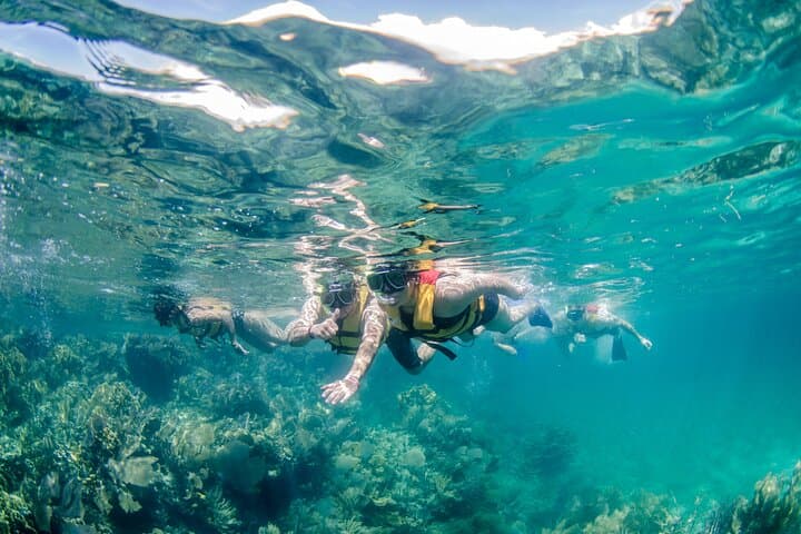 Pilot Your Own Speedboat and Snorkel Punta Nizuc — Cancun Mangrove to Reef Tour photo 5