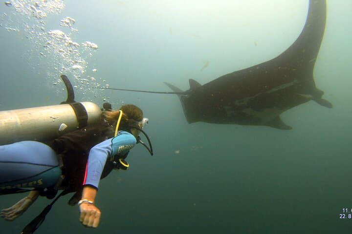 Discover Scuba Diving at Catalina Islands from Tamarindo photo 4