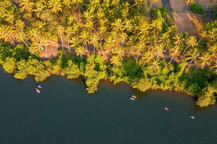 Chapora Backwater Kayaking: Paddle Mangroves & Wildlife in Goa photo 4