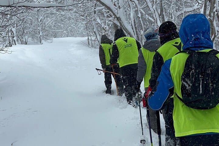 Snowshoeing Bakuriani: Winter Hikes Through Pine Forests & Village Ruins photo 4