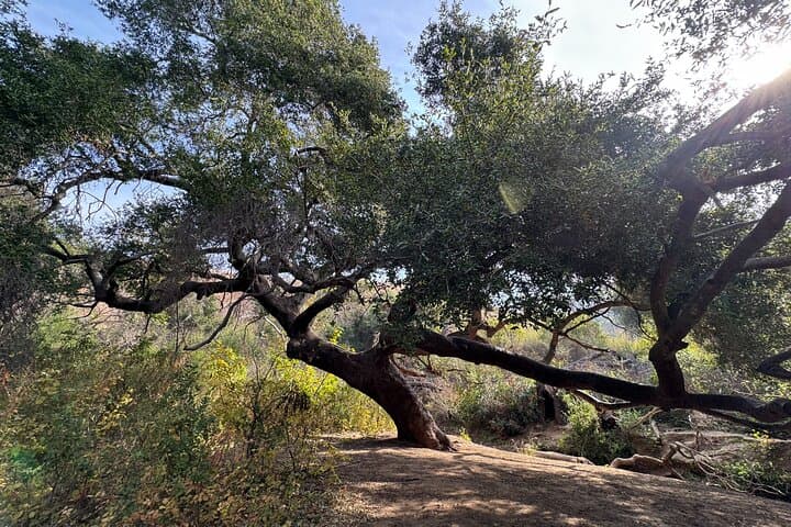 Malibu Waterfall Hike & Pacific Coast Drive: Escondido Falls Half-Day Private Tour photo 3