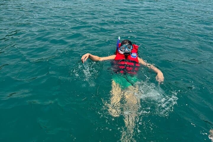 Cham Islands Snorkeling Day Trip from Hoi An — Ocean Discovery photo 2
