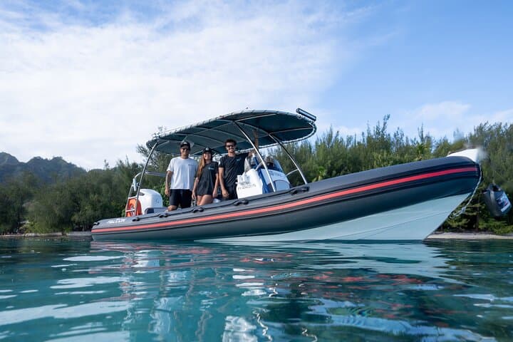 Private Boat Tours on Moorea Lagoon: Snorkel Turtles, Rays & Tropical Fish