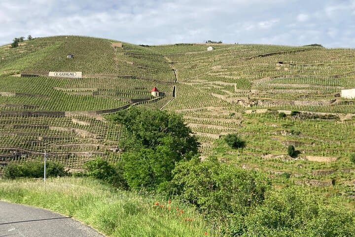 Family Vine Walk: Guided Côte Rôtie Tour with Tasting and Views