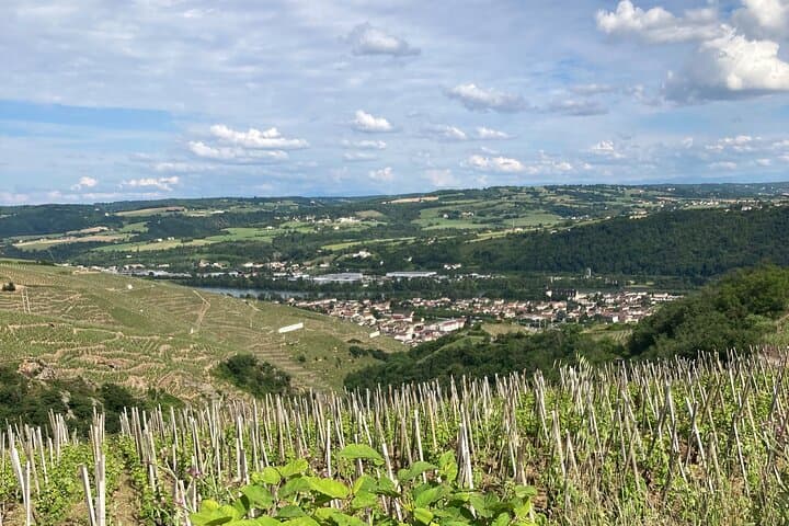 Family Vine Walk: Guided Côte Rôtie Tour with Tasting and Views photo 3