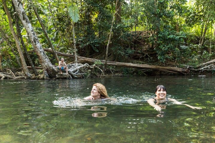 Daintree Rainforest & Cape Tribulation Full-Day Tour — Where Rainforest Meets Reef photo 4