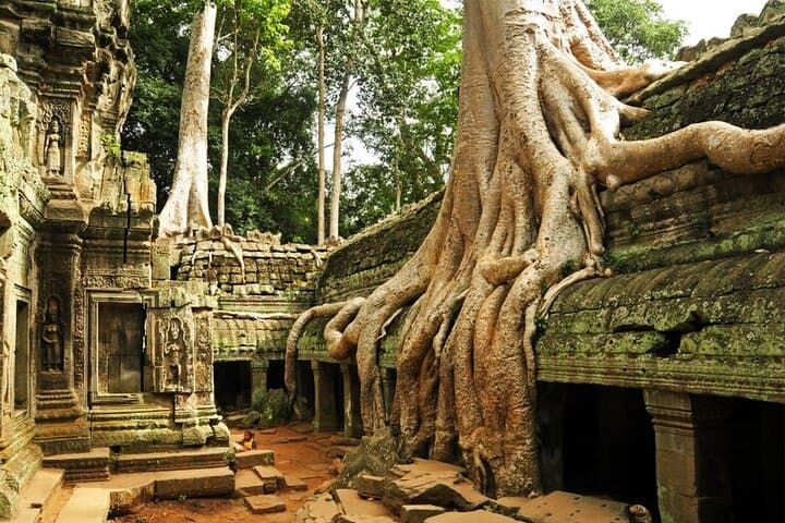 Sunrise at Angkor Wat: Small-Group Temple Tour from Siem Reap photo 4